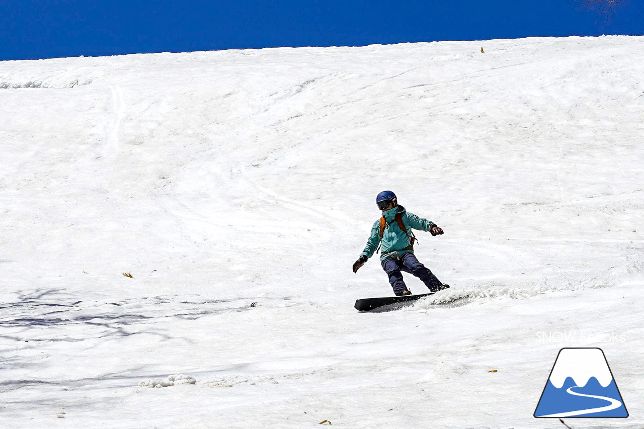 ニセコグラン・ヒラフ DYNASTAR SKI TEST RIDE DAYS Photo Session!!最高の天気に恵まれたニセコに、最高の仲間たちが集まりました☆